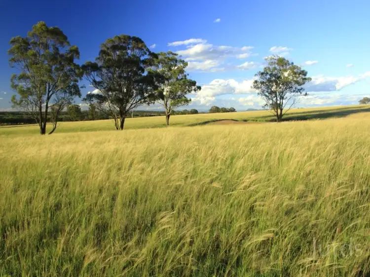Third view of Homely rural property listing, 252 Deasys Road, Pokolbin NSW 2320