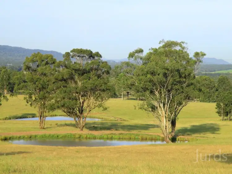 Fourth view of Homely rural property listing, 252 Deasys Road, Pokolbin NSW 2320