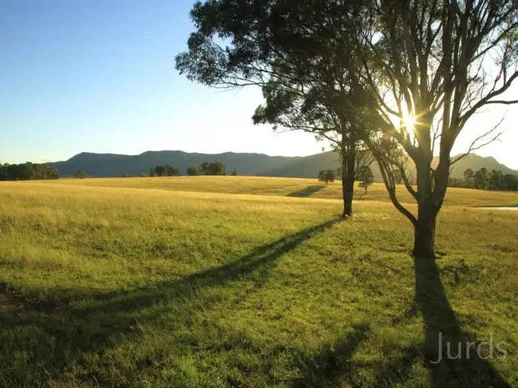 Seventh view of Homely rural property listing, 252 Deasys Road, Pokolbin NSW 2320