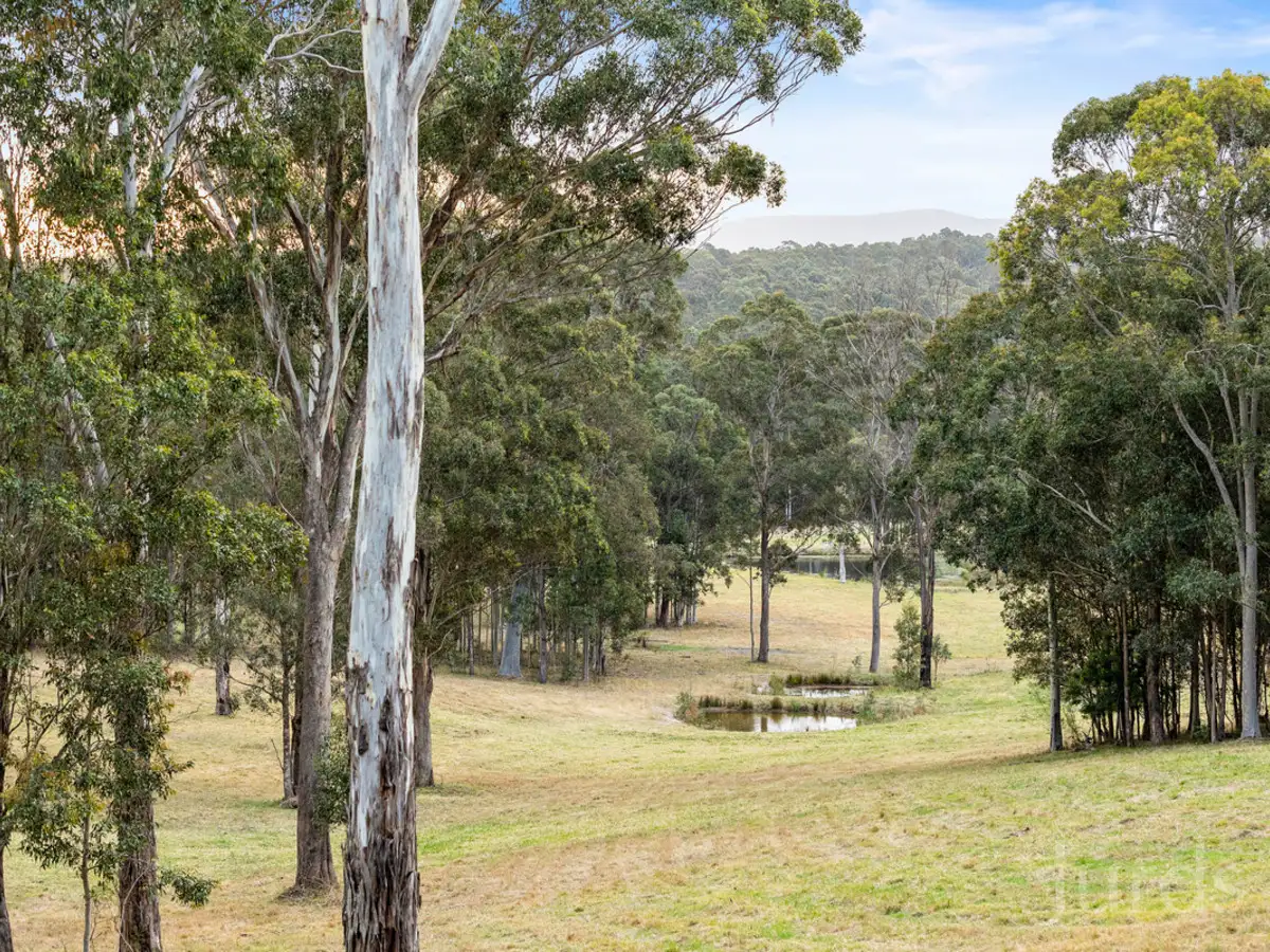 Main view of Homely rural property listing, Address available on request