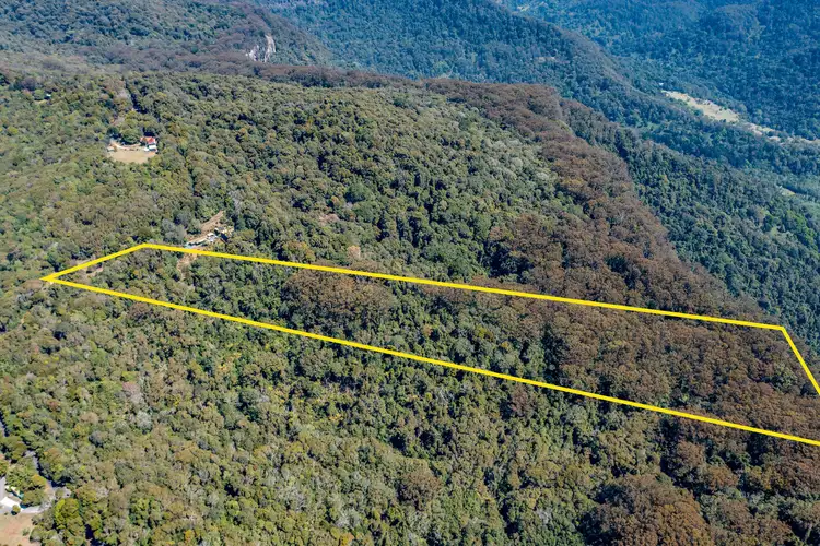 Fifth view of Homely land listing, 150 Repeater Station Road, Springbrook QLD 4213