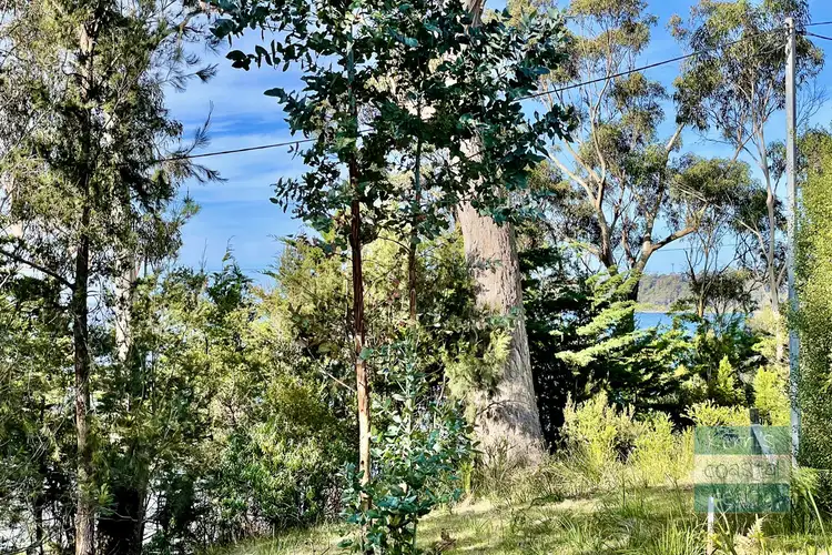 Fourth view of Homely land listing, 52 Tasman Highway, St Helens TAS 7216