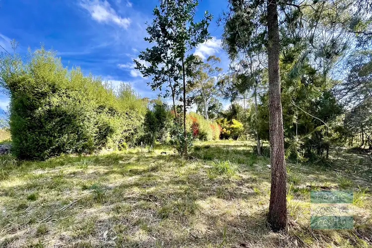 Sixth view of Homely land listing, 52 Tasman Highway, St Helens TAS 7216