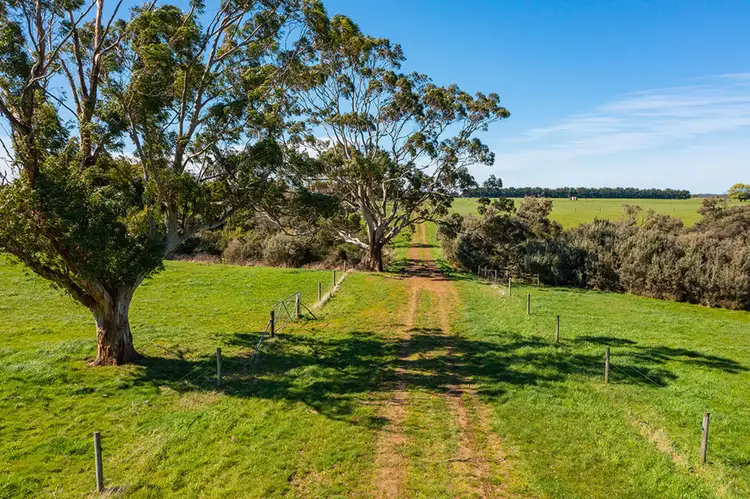 Third view of Homely rural property listing, 1471 Timboon-Nullawarrre Road, Nullawarre VIC 3268