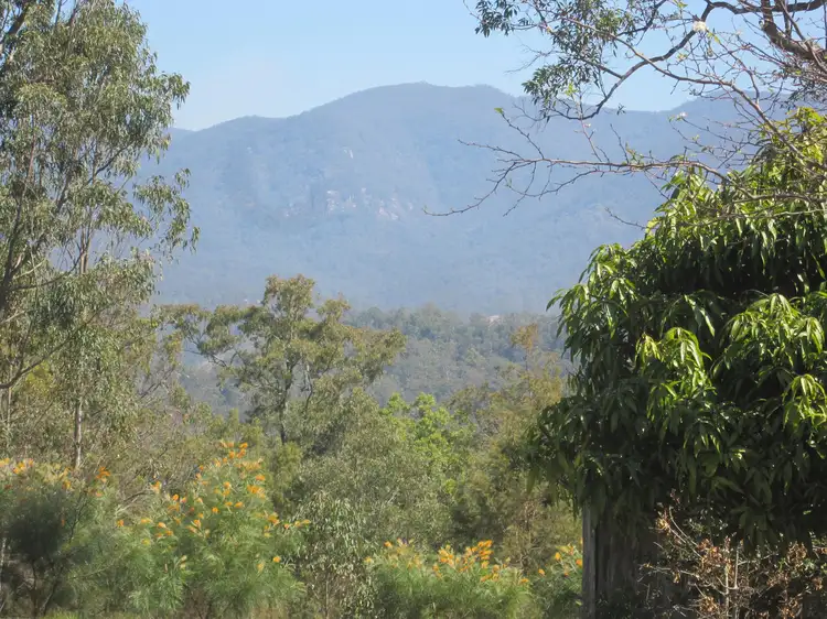 1021C Long Gully Road, Drake NSW 2469