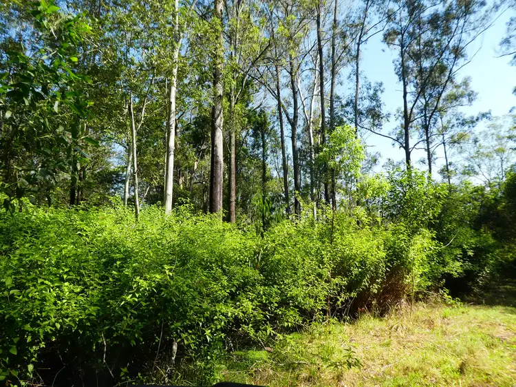 Main view of Homely rural property listing, Lot 40-46 Old Wyan Road, Rappville NSW 2469