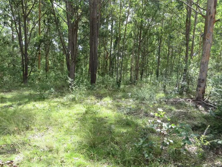Fifth view of Homely rural property listing, Lot 40-46 Old Wyan Road, Rappville NSW 2469