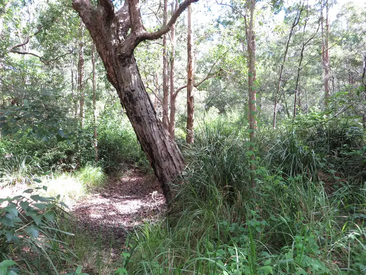 Sixth view of Homely rural property listing, Lot 40-46 Old Wyan Road, Rappville NSW 2469