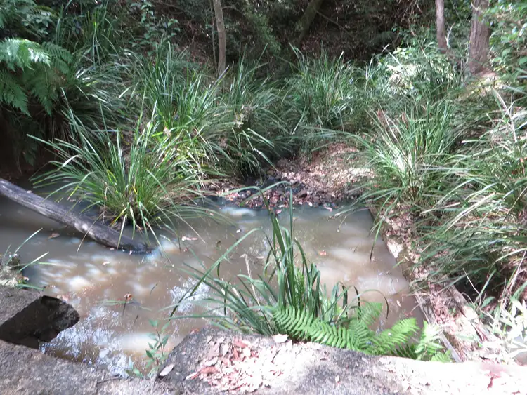 Seventh view of Homely rural property listing, Lot 40-46 Old Wyan Road, Rappville NSW 2469