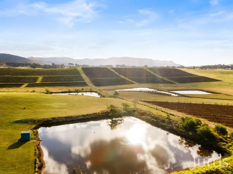 Fifth view of Homely rural property listing, 86 Marrowbone Road, Pokolbin NSW 2320