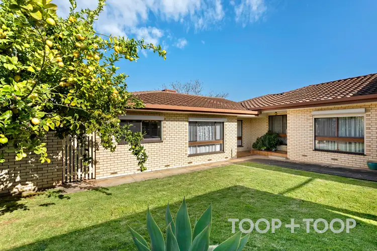 Second view of Homely unit listing, 3/3 Frank Street, St Morris SA 5068