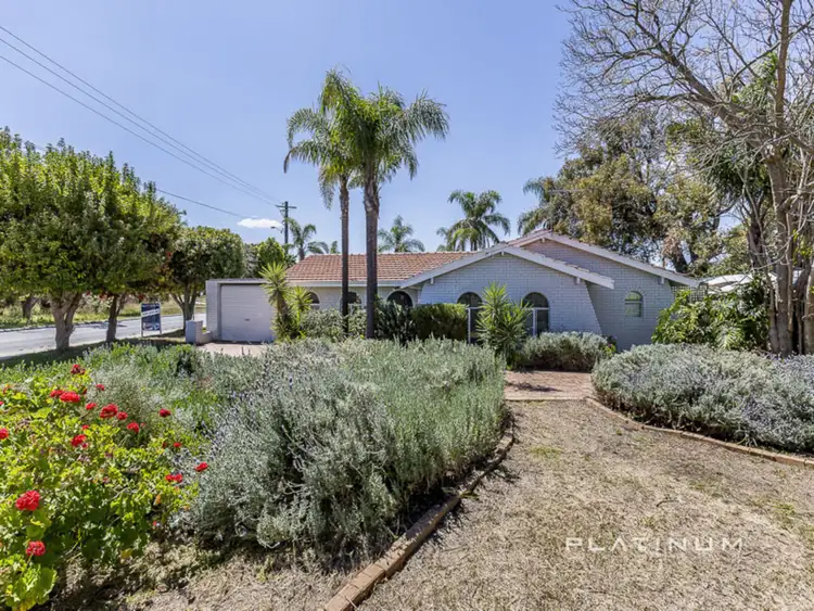 Main view of Homely house listing, 104 Dundebar Road, Wanneroo WA 6065