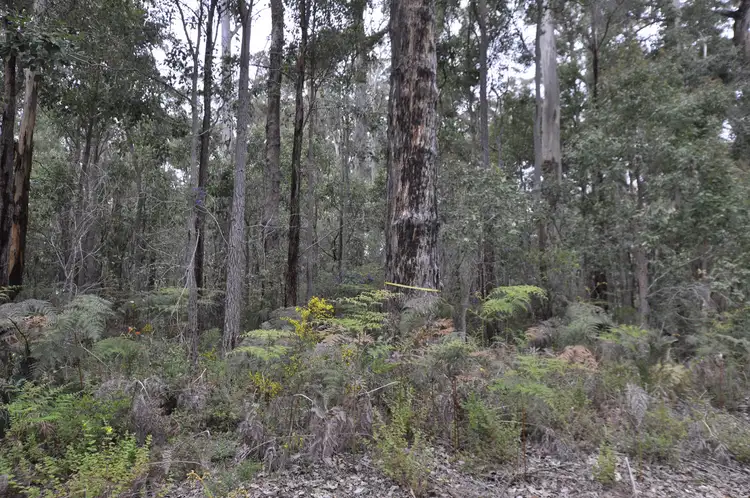 Fourth view of Homely land listing, Lot 118 Karri Lane, Quinninup WA 6258