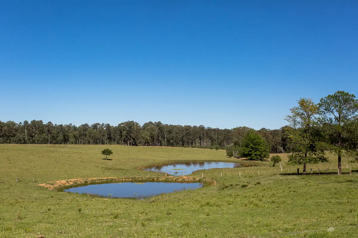 Main view of Homely rural property listing, Tullymorgan Road, Tullymorgan NSW 2463