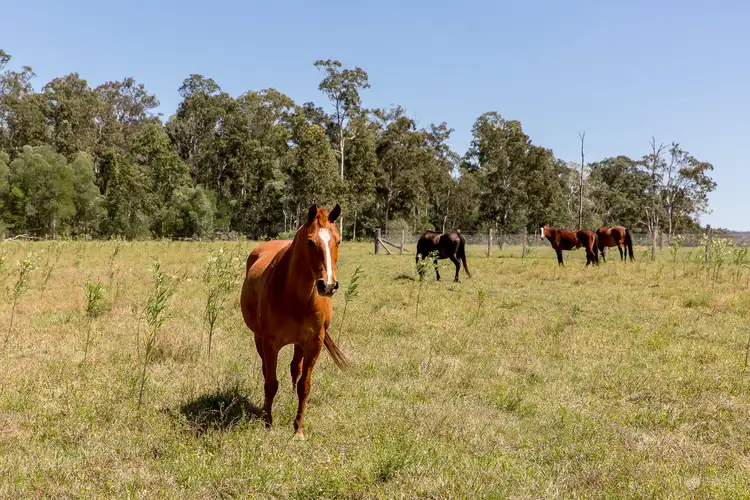Second view of Homely rural property listing, Tullymorgan Road, Tullymorgan NSW 2463