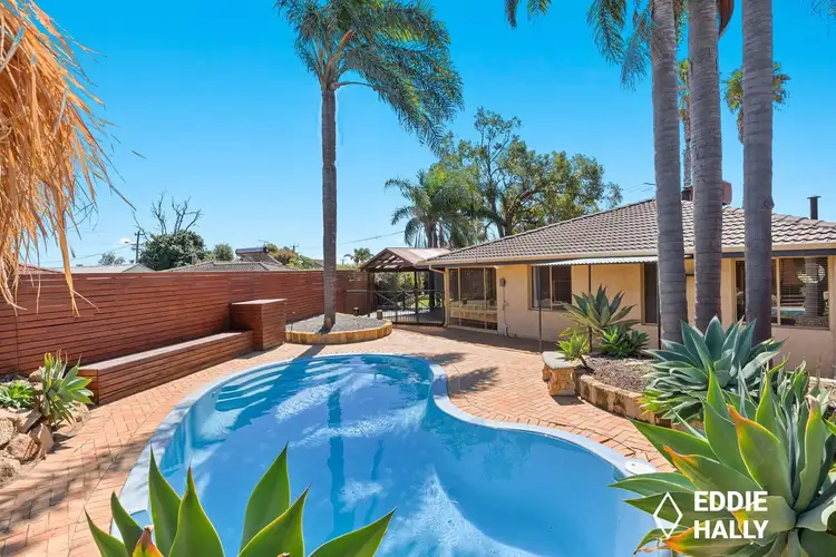 Main view of Homely house listing, 4 Curlew Way, Yangebup WA 6164