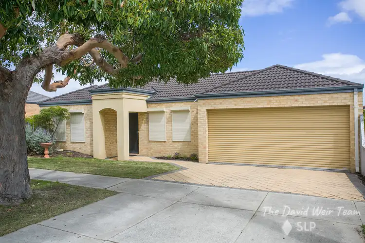 Main view of Homely house listing, 23A Hailsham Road, Nollamara WA 6061