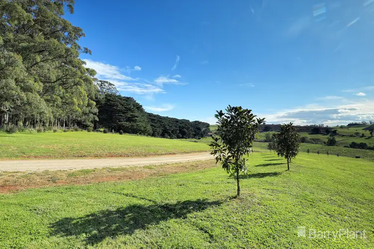 Third view of Homely land listing, 191 Ure Road, Gembrook VIC 3783