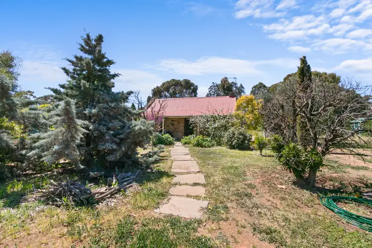 Main view of Homely house listing, 16 South Terrace, Farrell Flat SA 5416
