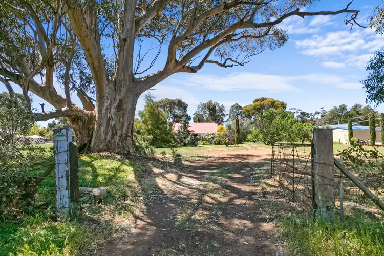 Third view of Homely house listing, 16 South Terrace, Farrell Flat SA 5416