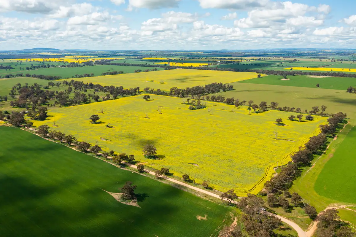 Main view of Homely rural property listing, LOT 10 & 164 Piggins Road, Hopefield NSW 2646