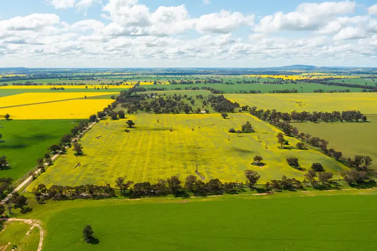 Fourth view of Homely rural property listing, LOT 10 & 164 Piggins Road, Hopefield NSW 2646