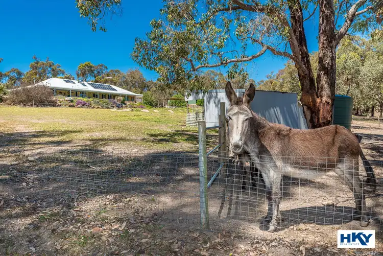Third view of Homely house listing, 33 Alawoona Circle, Bullsbrook WA 6084