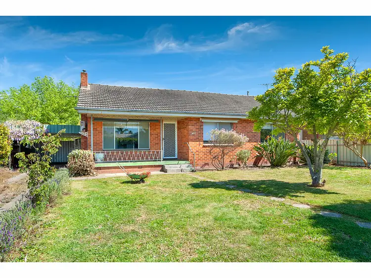 Main view of Homely house listing, 497 McKenzie Street, Lavington NSW 2641