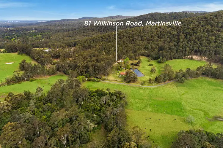 81 Wilkinson Road, Martinsville NSW 2265