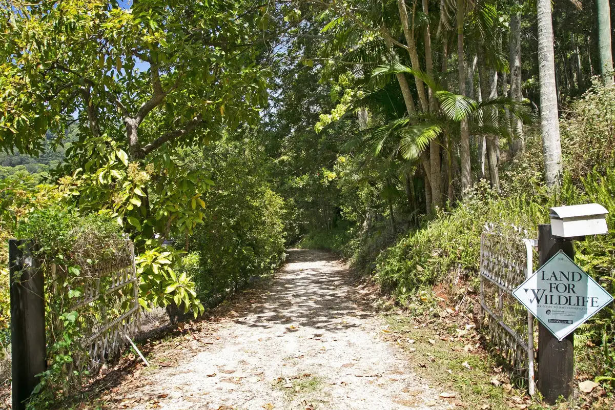 Main view of Homely house listing, 61 Tomewin Mountain Road, Currumbin Valley QLD 4223