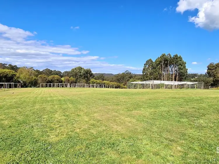 54 Wells Road, Mirboo North VIC 3871