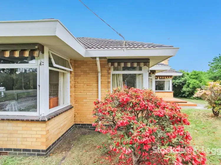 Third view of Homely house listing, 16 Baths Road, Mirboo North VIC 3871