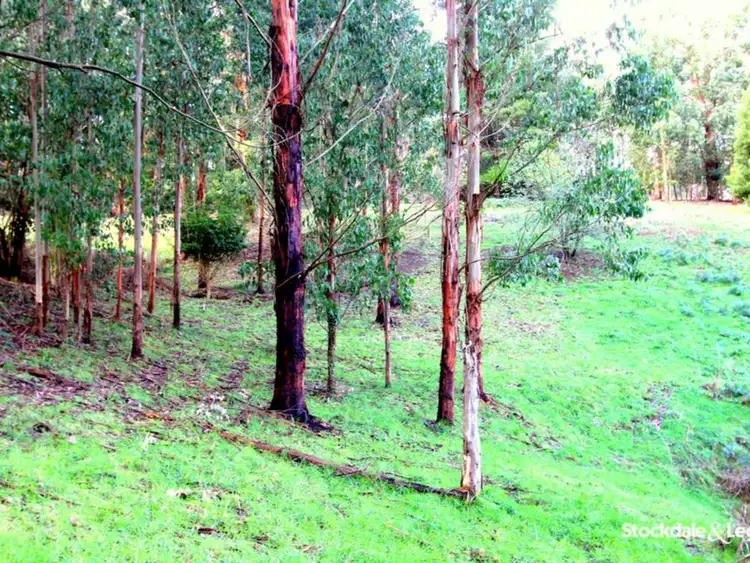 Third view of Homely land listing, 7 Scott Court, Mirboo North VIC 3871