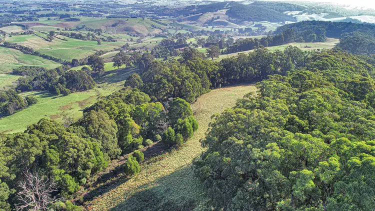 74 Pines Road, Mirboo North VIC 3871