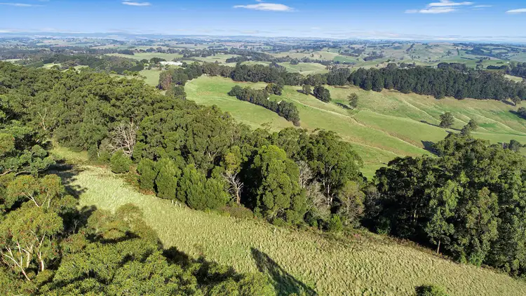 Second view of Homely rural property listing, 74 Pines Road, Mirboo North VIC 3871