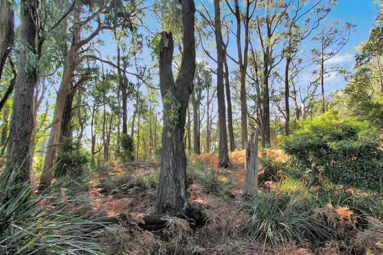 Fourth view of Homely rural property listing, 74 Pines Road, Mirboo North VIC 3871