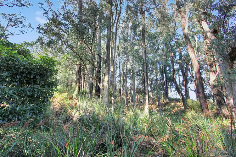 Fifth view of Homely rural property listing, 74 Pines Road, Mirboo North VIC 3871