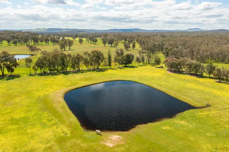 Sixth view of Homely rural property listing, 373 Toveys Road, Chiltern VIC 3683