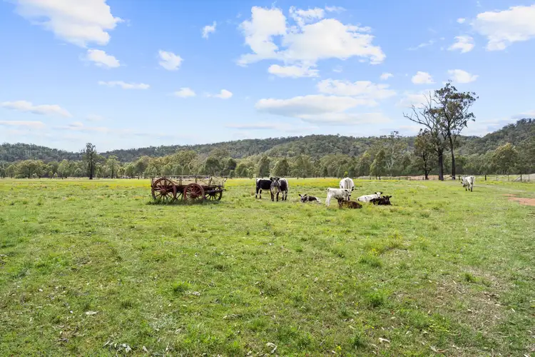 Fifth view of Homely rural property listing, 299 Yarraman Road, Wybong NSW 2333