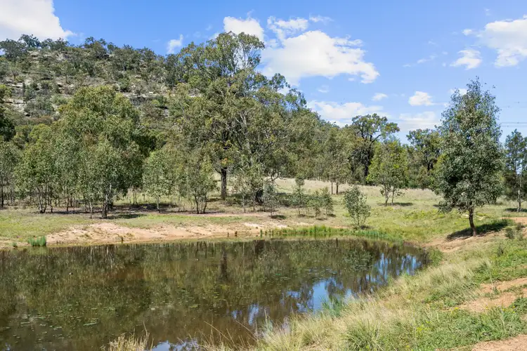 Sixth view of Homely rural property listing, 299 Yarraman Road, Wybong NSW 2333