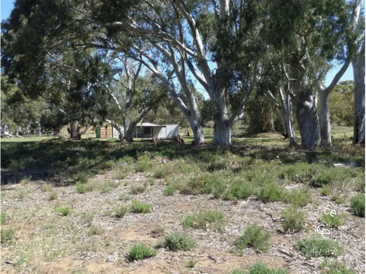 LOT 11 Black Hill Road, Cambrai SA 5353