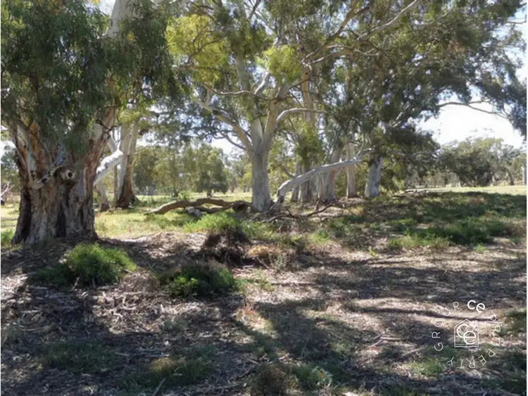 Second view of Homely rural property listing, 1261 Black Hill Road, Cambrai SA 5353