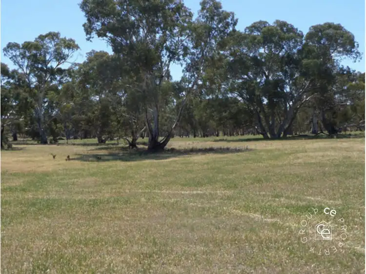 Third view of Homely rural property listing, 1261 Black Hill Road, Cambrai SA 5353