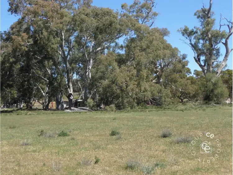 Fourth view of Homely rural property listing, 1261 Black Hill Road, Cambrai SA 5353