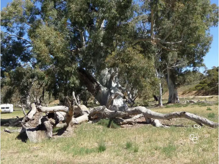 Fifth view of Homely rural property listing, 1261 Black Hill Road, Cambrai SA 5353