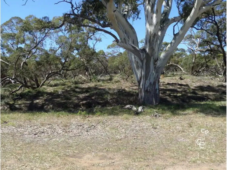 Sixth view of Homely rural property listing, 1261 Black Hill Road, Cambrai SA 5353