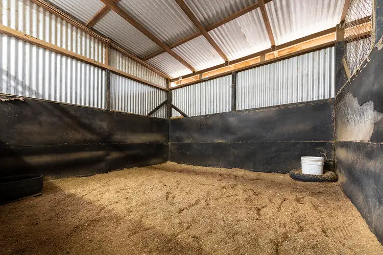 Fifth view of Homely rural property listing, 2036A New England Highway, Scone NSW 2337