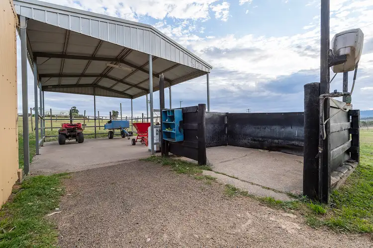 Sixth view of Homely rural property listing, 2036A New England Highway, Scone NSW 2337