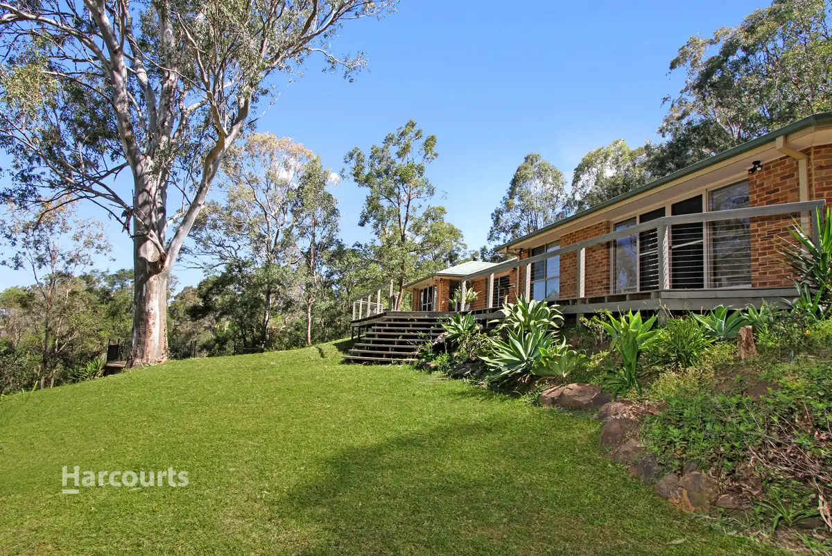 Main view of Homely house listing, 7 Mountain View Terrace, Avondale NSW 2530