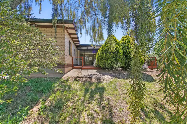 9 Vanga Avenue, Clare SA 5453